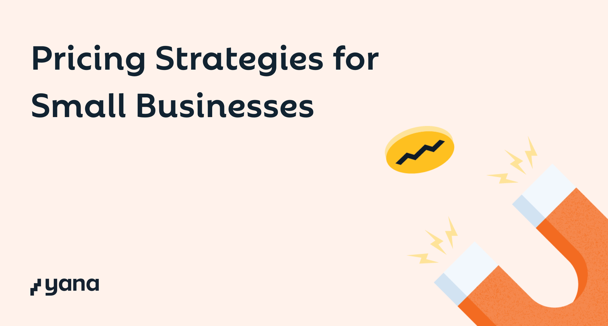 Pricing Strategies For Small Businesses